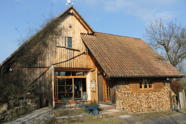 Traumjob finden! Das sind die 4 ultimativen Faktoren für deinen Traumjob mit Sinn.